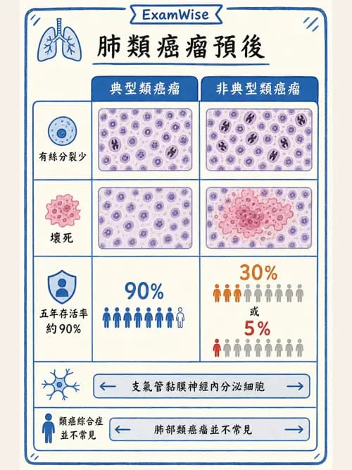 呼吸治療師 - 術後與其他呼吸重症 - AI 圖文解析預覽