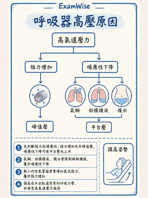 呼吸治療師 - 呼吸器併發症與感染 - AI 圖文解析預覽