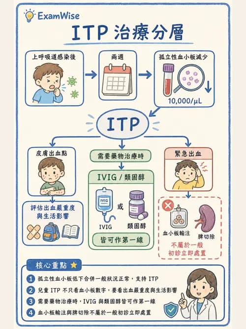 呼吸治療師 - 小兒相關重症 - AI 圖文解析預覽
