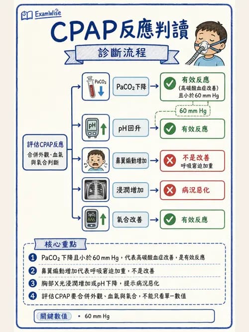 呼吸治療師 - 小兒相關重症 - AI 圖文解析預覽