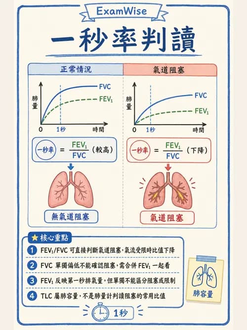 呼吸治療師 - 病人評估與衛教 - AI 圖文解析預覽