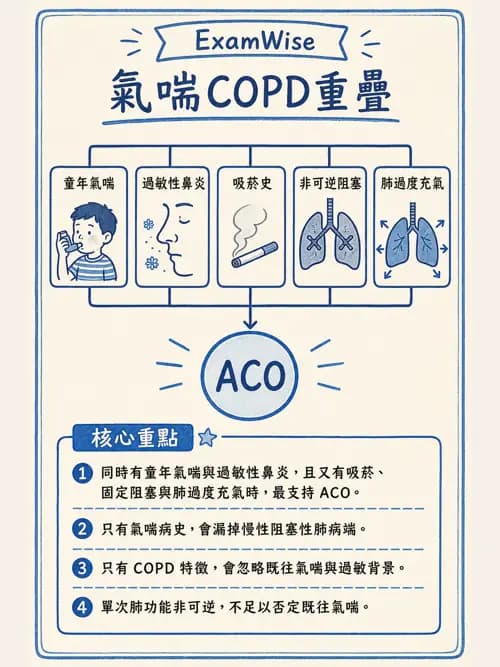 呼吸治療師 - 慢性氣道疾病 - AI 圖文解析預覽