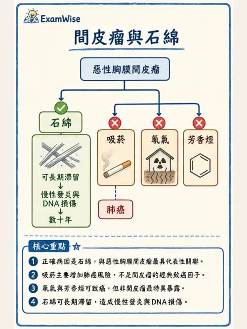 呼吸治療師 - 神經肌肉病變與腫瘤 - AI 圖文解析預覽