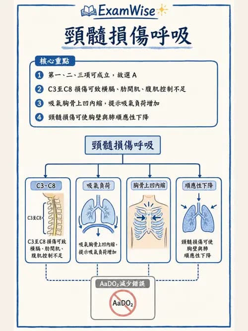 呼吸治療師 - 神經肌肉病變與腫瘤 - AI 圖文解析預覽