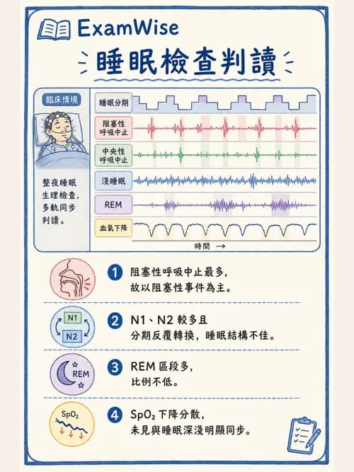 呼吸治療師 - 睡眠相關呼吸障礙 - AI 圖文解析預覽