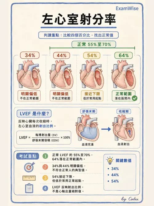 呼吸治療師 - 心臟生理與血液動力學 - AI 圖文解析預覽