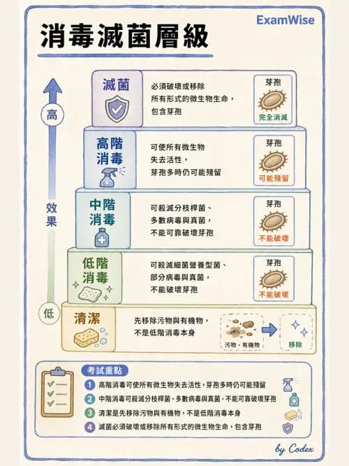 呼吸治療師 - 感染管制與職業安全 - AI 圖文解析預覽