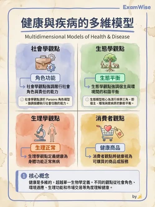護理師 - 護理理論與專業倫理 - AI 圖文解析預覽