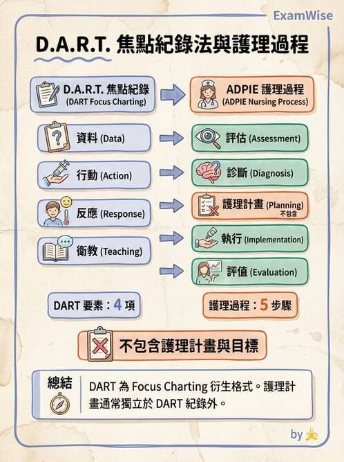 護理師 - 護理紀錄與衛教 - AI 圖文解析預覽