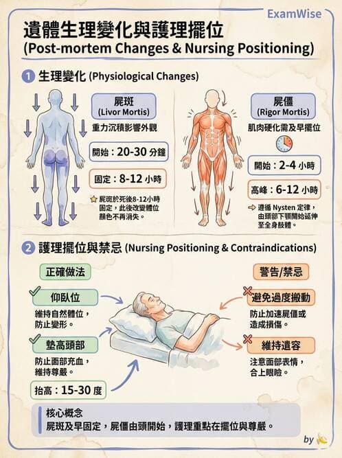護理師 - 臨終與哀傷護理 - AI 圖文解析預覽