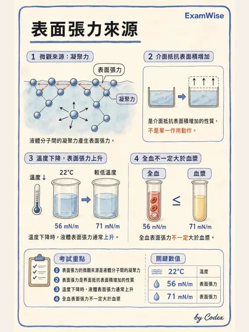 呼吸治療師 - 氣體物理學 - AI 圖文解析預覽