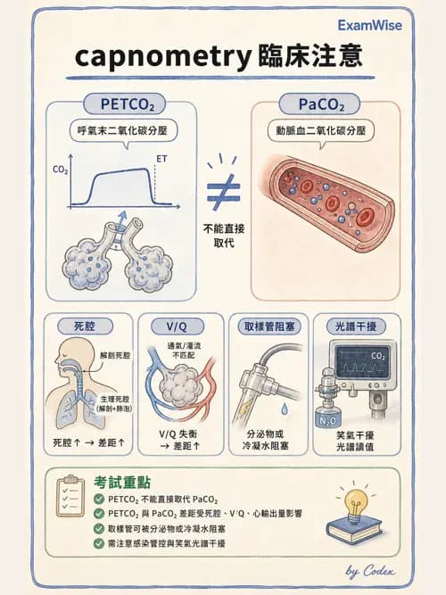 呼吸治療師 - 非侵入性呼吸監測設備 - AI 圖文解析預覽