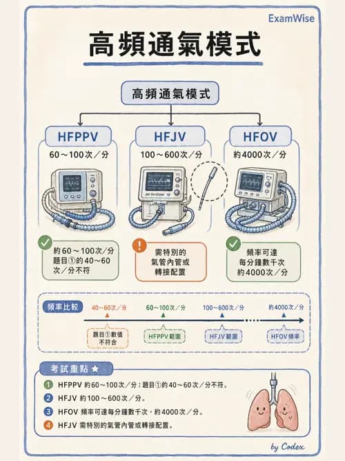 呼吸治療師 - 呼吸器設計與通氣模式 - AI 圖文解析預覽