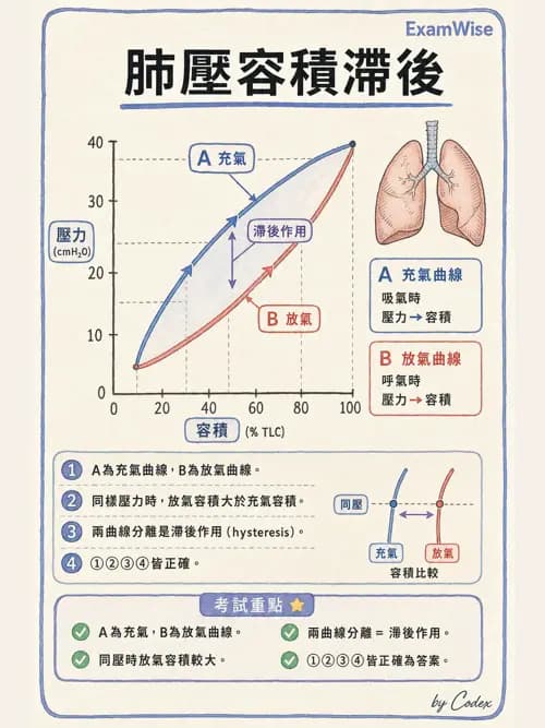 呼吸治療師 - 機械通氣生理 - AI 圖文解析預覽
