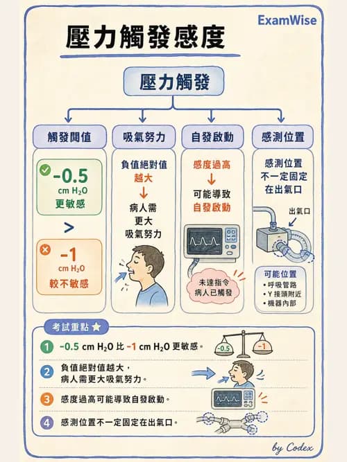 呼吸治療師 - 呼吸器設計與通氣模式 - AI 圖文解析預覽