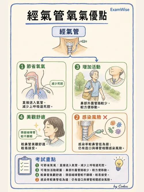 呼吸治療師 - 非侵襲性與居家通氣 - AI 圖文解析預覽