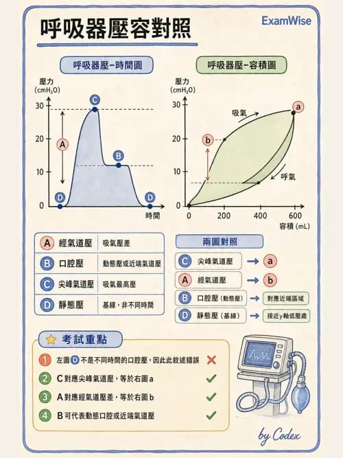 呼吸治療師 - 呼吸器圖形判讀與故障排除 - AI 圖文解析預覽