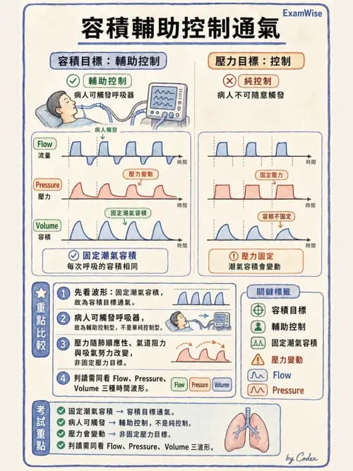 呼吸治療師 - 呼吸器圖形判讀與故障排除 - AI 圖文解析預覽