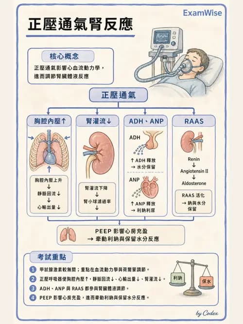 呼吸治療師 - 正壓通氣生理影響與合併症 - AI 圖文解析預覽