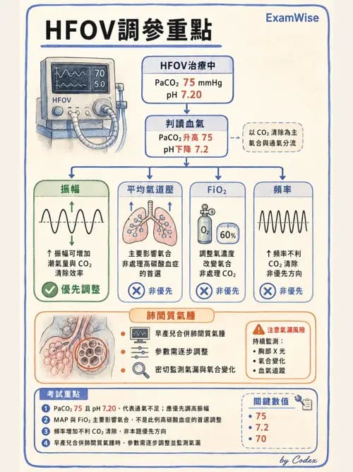 呼吸治療師 - 小兒呼吸器支持 - AI 圖文解析預覽
