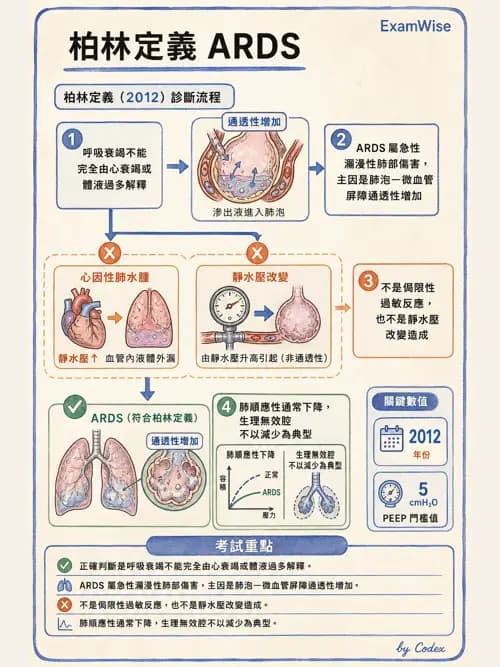 呼吸治療師 - ARDS與呼吸衰竭 - AI 圖文解析預覽