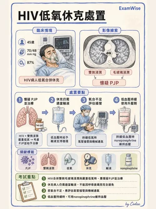 呼吸治療師 - 休克、敗血症與多器官衰竭 - AI 圖文解析預覽