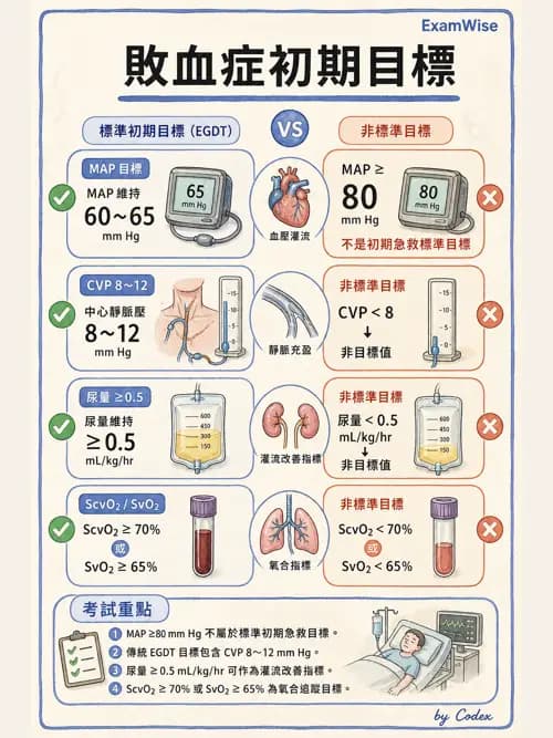 呼吸治療師 - 休克、敗血症與多器官衰竭 - AI 圖文解析預覽