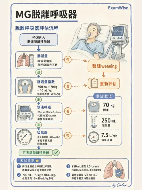 呼吸治療師 - 術後與其他呼吸重症 - AI 圖文解析預覽