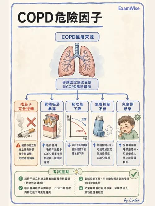 呼吸治療師 - 慢性氣道疾病 - AI 圖文解析預覽