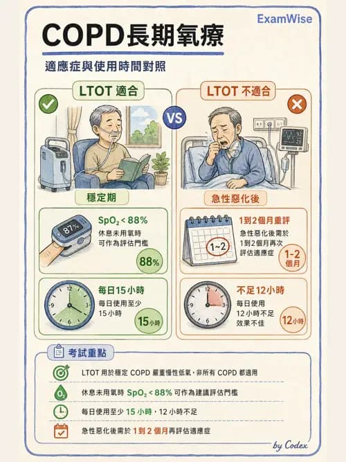 呼吸治療師 - 慢性氣道疾病 - AI 圖文解析預覽