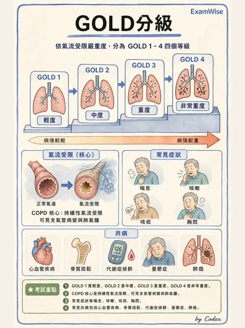 呼吸治療師 - 慢性氣道疾病 - AI 圖文解析預覽