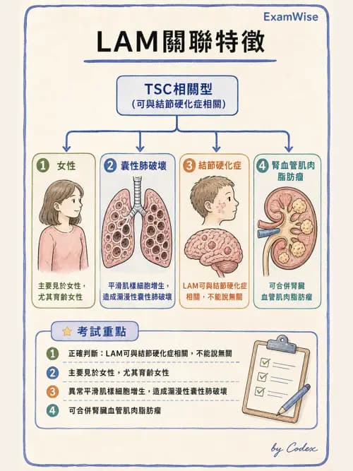 呼吸治療師 - 肺間質病變 - AI 圖文解析預覽