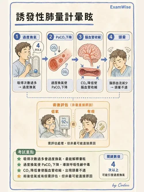 呼吸治療師 - 病人評估與衛教 - AI 圖文解析預覽