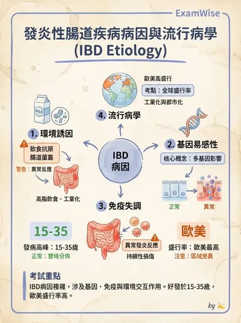 護理師 - 腸道疾病與手術護理 - AI 圖文解析預覽