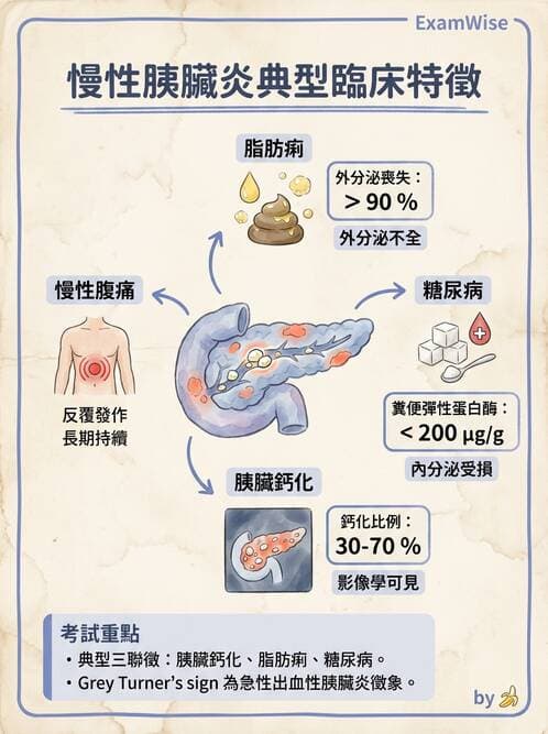 護理師 - 肝膽胰疾病 - AI 圖文解析預覽
