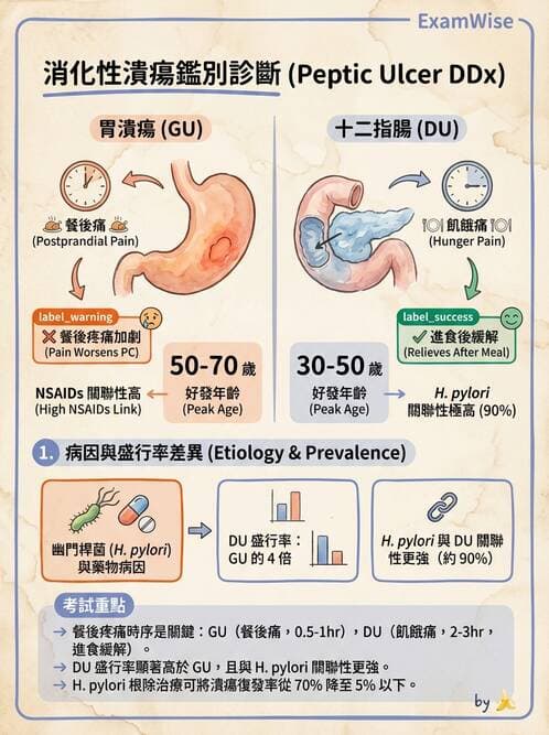 護理師 - 上消化道疾病 - AI 圖文解析預覽