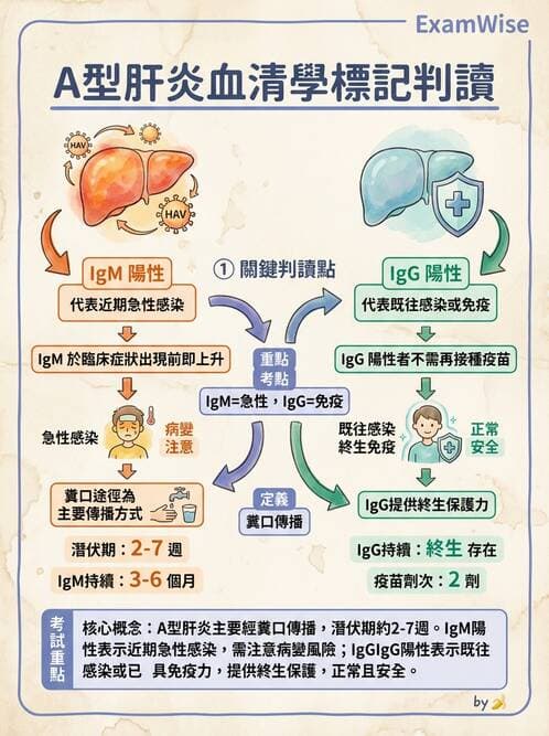 護理師 - 肝膽胰疾病 - AI 圖文解析預覽