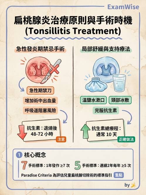 護理師 - 耳鼻喉疾病 - AI 圖文解析預覽