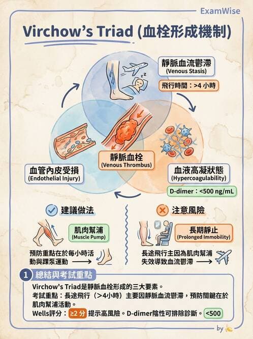 護理師 - 高血壓與周邊血管疾病 - AI 圖文解析預覽
