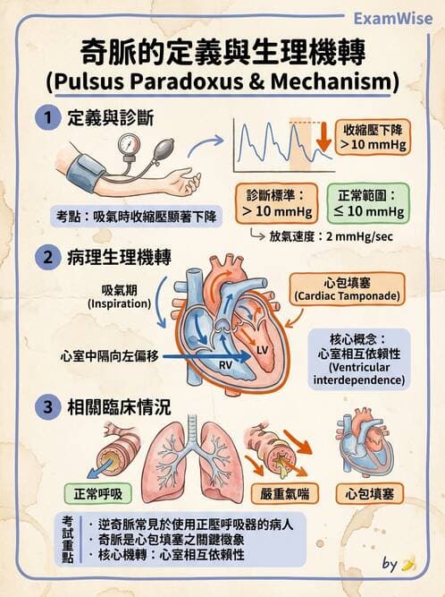 護理師 - 心臟瓣膜病與發炎性心臟病 - AI 圖文解析預覽