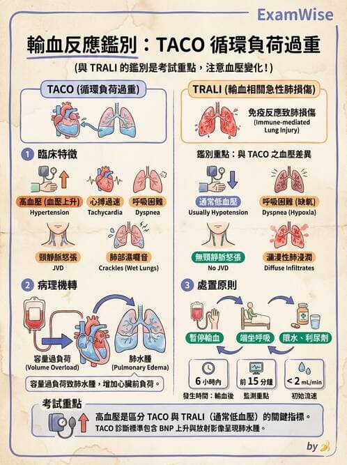 護理師 - 貧血與凝血疾病 - AI 圖文解析預覽