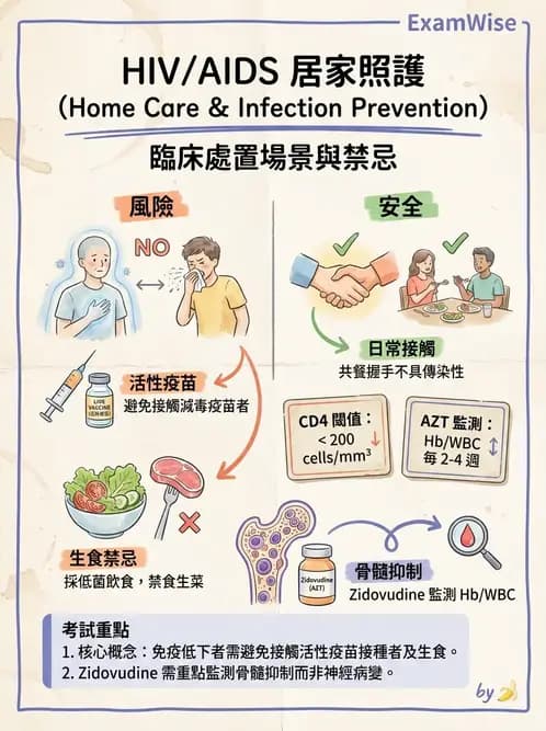 護理師 - 器官移植與AIDS - AI 圖文解析預覽