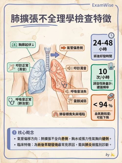護理師 - 呼吸衰竭與胸腔護理 - AI 圖文解析預覽