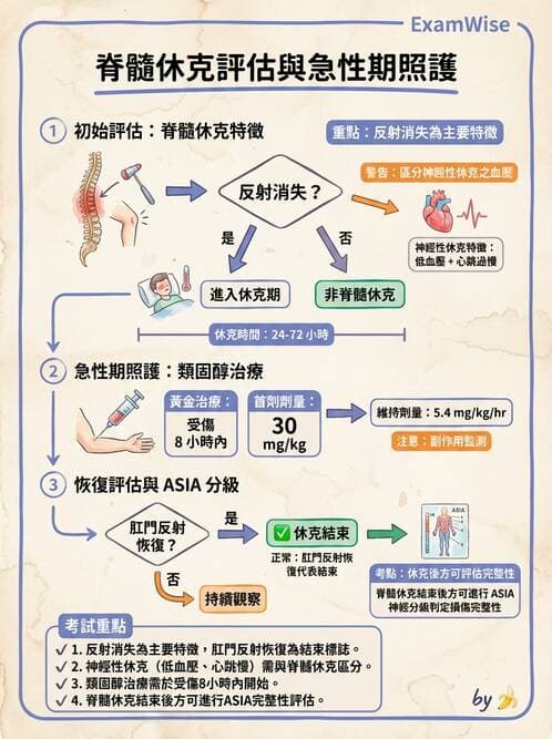 護理師 - 脊髓損傷與神經肌肉疾病 - AI 圖文解析預覽