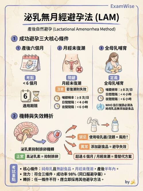 護理師 - 產後心理併發症與家庭計畫 - AI 圖文解析預覽