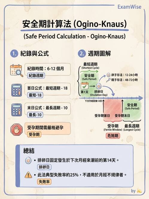 護理師 - 產後心理併發症與家庭計畫 - AI 圖文解析預覽