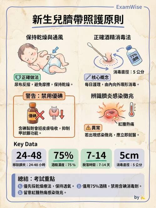 護理師 - 新生兒日常照護與篩檢 - AI 圖文解析預覽