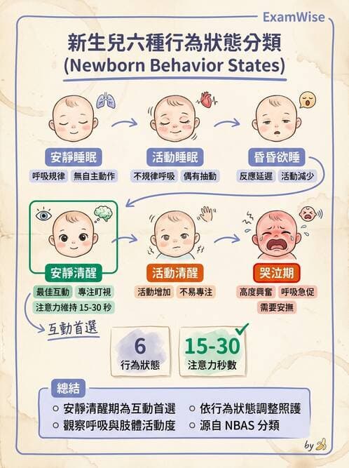 護理師 - 新生兒日常照護與篩檢 - AI 圖文解析預覽