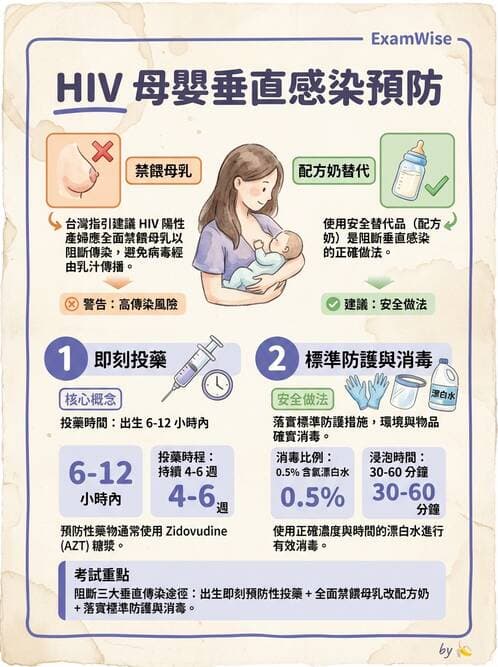護理師 - 新生兒日常照護與篩檢 - AI 圖文解析預覽