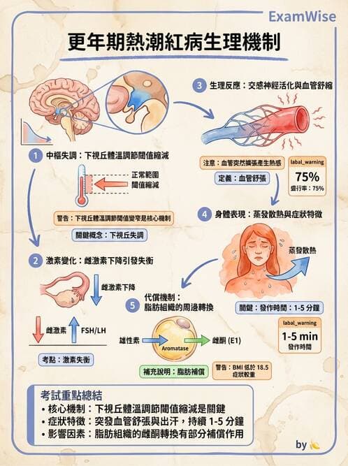 護理師 - 不孕症月經與更年期 - AI 圖文解析預覽